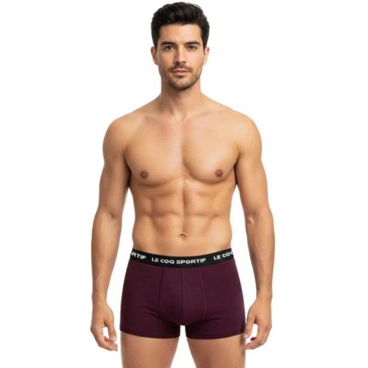 Vyriškų bokserinių kelnaičių rinkinys Le Coq Sportif, 3 vnt., juodos, pilkos ir bordo