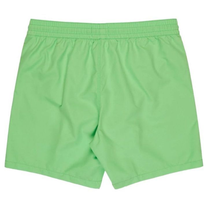 Šortai Billabong All Day Layback, 16 colių, žali