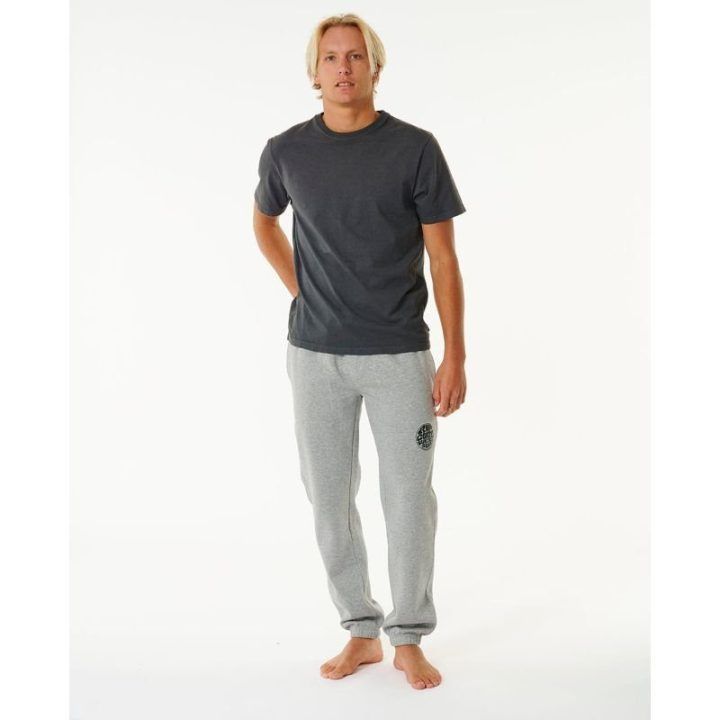 Vyriškos sportinės kelnės Rip Curl Icons Of Surf, pilkos