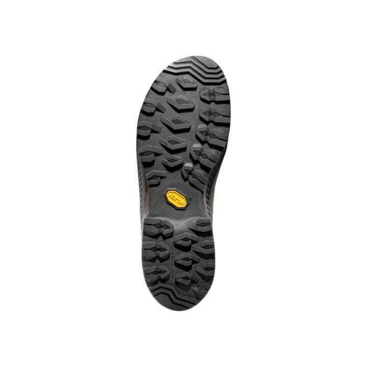Vyriški žygio batai La Sportiva TX5 Evo GTX, kavos / rausvai rudi