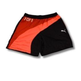 Vyriški krepšinio šortai Puma One Of One Flare, trispalviai