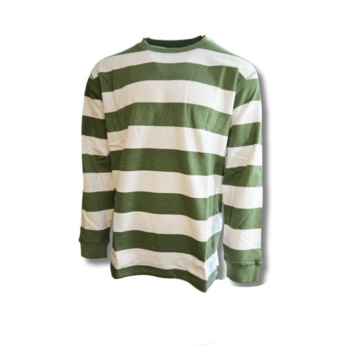 Vyriškas dryžuotas džemperis Taikan Everything Striped, žalias ir baltas