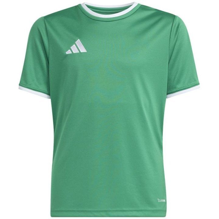 Vaikiški futbolo marškinėliai adidas Entrada 26, žali