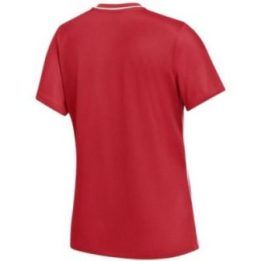 Moteriški prigludę marškinėliai Nike Dri-Fit Park 26, raudoni