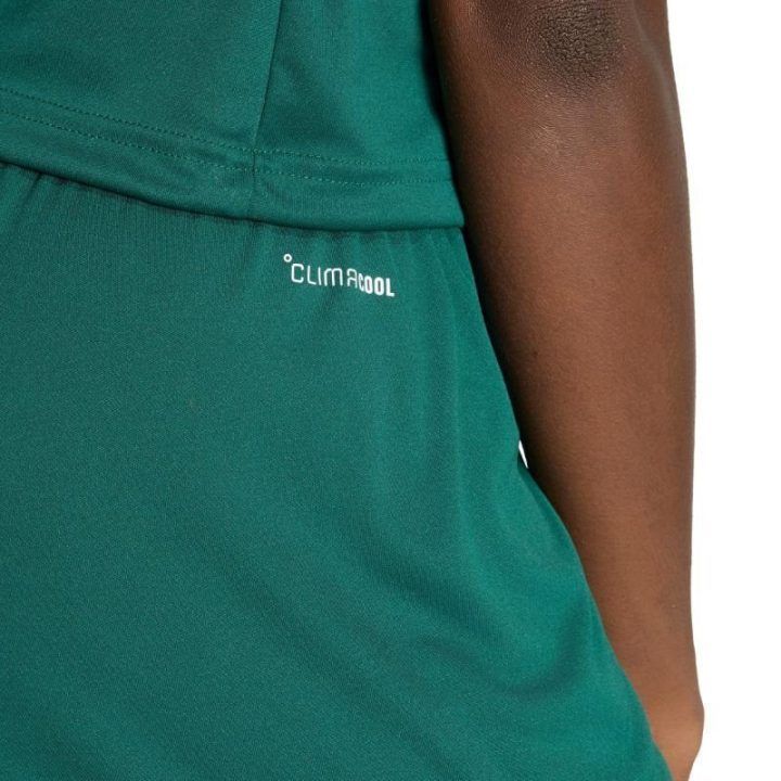 Moteriški treniruočių šortai adidas Entrada 26, žali