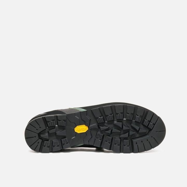 Moteriški žygio batai Garmont Dragontail Mnt Evo GTX, žali
