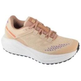 Moteriški sportbačiai Salomon Aero Glide 3 GRVL, smėlio