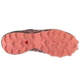 Moteriški sportbačiai Salomon Speedcross 6 GTX, pilki