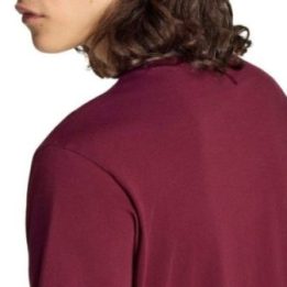 Vyriški medvilniniai marškinėliai adidas Essentials Small Logo, bordo