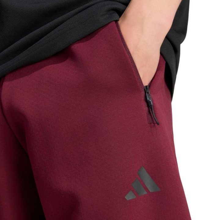 Vyriškos kelnės adidas Z.N.E., bordo