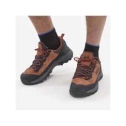Vyriški žygio batai su GORE-TEX membrana Millet Ubic Low GTX, rudi