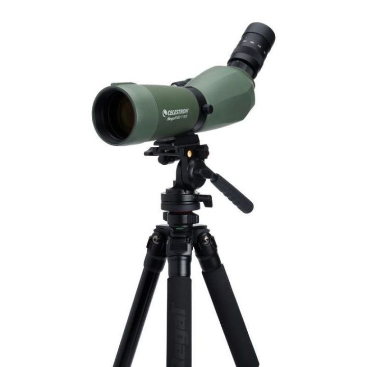 Stebėjimo monoklis Celestron Regal M2 65ED, 16–48×, juodas ir žalias