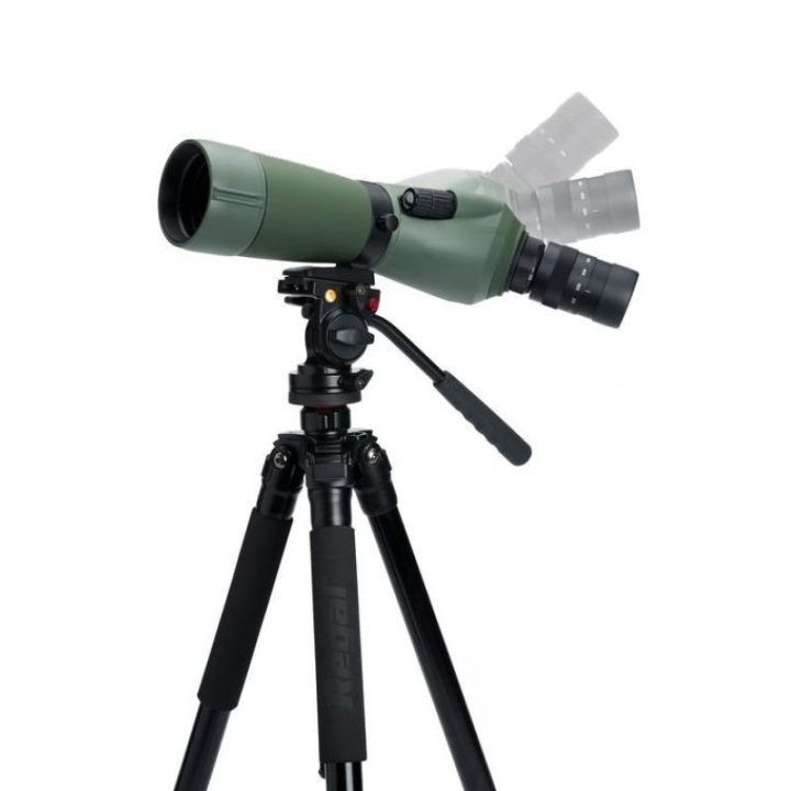 Stebėjimo monoklis Celestron Regal M2 65ED, 16–48×, juodas ir žalias
