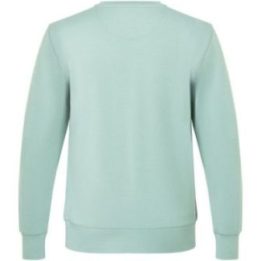 Vyriškas džemperis su merino vilna Super.Natural Sailor Crew, žalias
