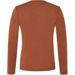 Vyriški merino marškinėliai Super.Natural Well Equipped LS, rudi