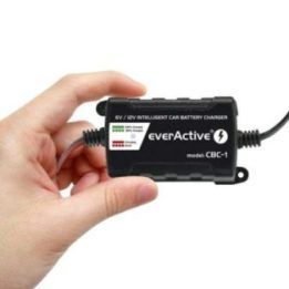 Automobilinis akumuliatoriaus įkroviklis everActive, juodas