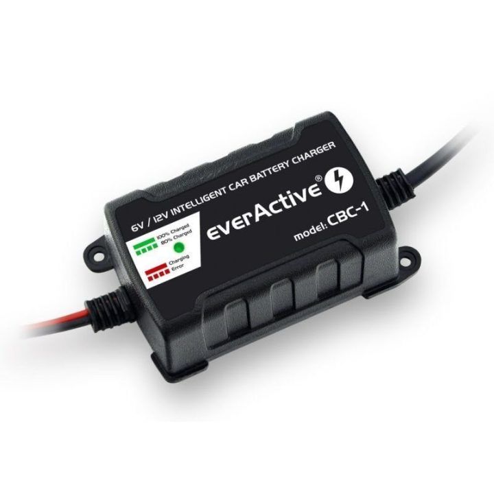Automobilinis akumuliatoriaus įkroviklis everActive, juodas