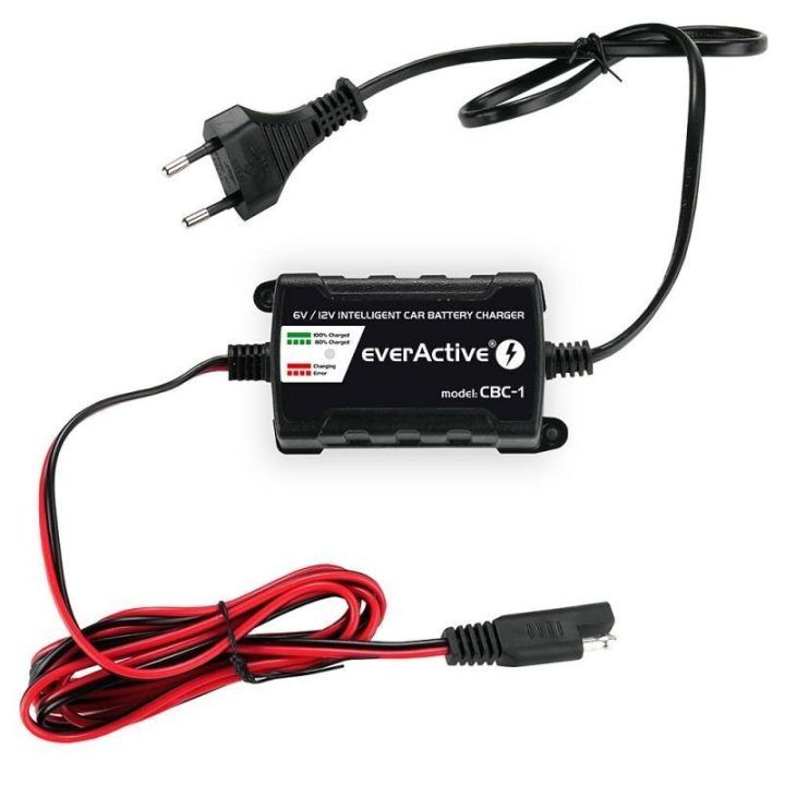 Automobilinis akumuliatoriaus įkroviklis everActive, juodas