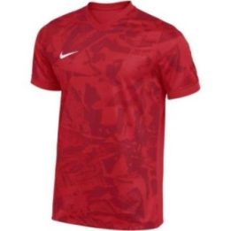 Vyriški marškinėliai Nike Dri-FIT Precision VII, raudoni