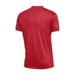 Vyriški marškinėliai Nike Dri-FIT Precision VII