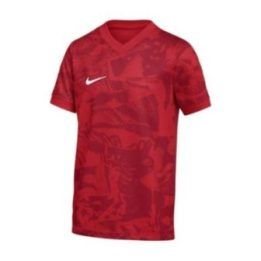 Marškinėliai Nike Dri-Fit Precision VII FZ9332-100