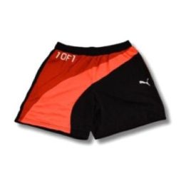Vyriški krepšinio šortai Puma One Of One Flare, trispalviai