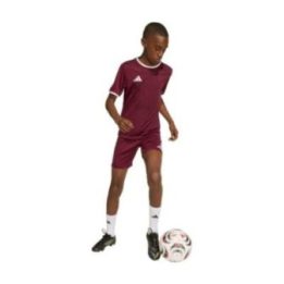 Vaikiški futbolo marškinėliai adidas Entrada 26, bordo